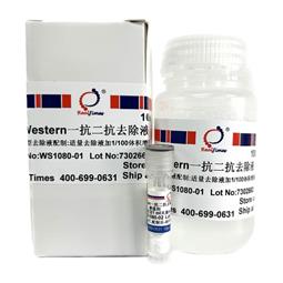 Western一抗二抗去除液（中性，劇烈型）