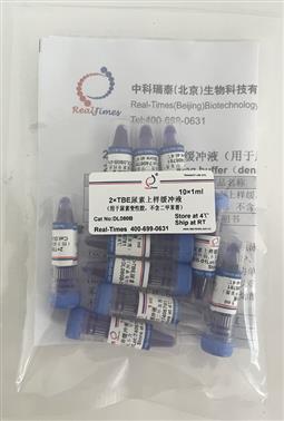 2×TBE尿素上樣緩沖液（用于尿素變性膠，不含二甲苯菁）