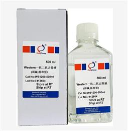 Western一抗二抗去除液（弱堿，溫和型）